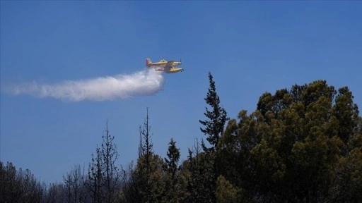 İzmir'in Aliağa ilçesinde çıkan orman yangınına müdahale ediliyor