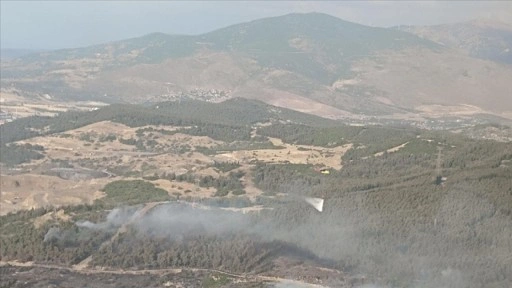 İzmir'in Aliağa ilçesinde ormanlık alanda çıkan yangına müdahale ediliyor