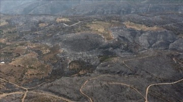 İzmir Valiliği: Kınık'taki orman yangını balya makinesinin yanması sonucu başladı