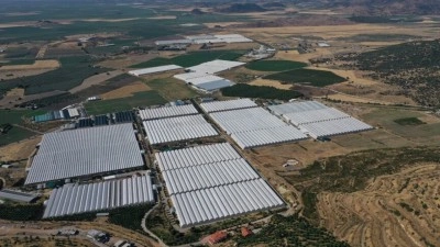 İzmir ve Ege B&ouml;lgesi'ndeki 8 ilde yatırımlar teşvikle atağa ge&ccedil;ecek