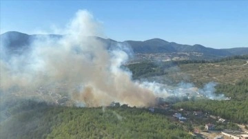 İzmir'de çıkan orman yangın kontrol altına alındı