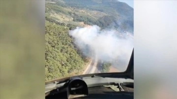 İzmir'de çıkan orman yangınına müdahale ediliyor