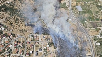 İzmir'de makilik ve otluk alanda yangın çıktı