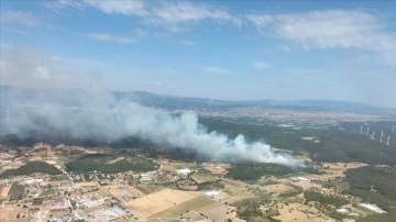 İzmir'de orman ve makilik alanda çıkan yangın kontrol altına alındı