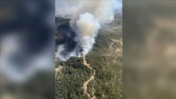 İzmir'de orman yangınına ekiplerce müdahale ediliyor