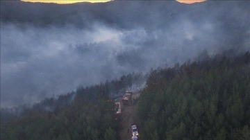 İzmir'de orman yangınına müdahale eden pikabın devrilmesi sonucu 2 kişi yaralandı