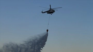 İzmir'de otluk alanda çıkan ve zeytinlik alana sıçrayan yangına müdahale ediliyor