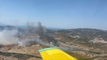 İzmir'in Foça ilçesinde otluk alanda çıkan yangına müdahale ediliyor