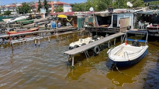 İzmit Körfezi'nde denizin kıyısı kahverengiye döndü