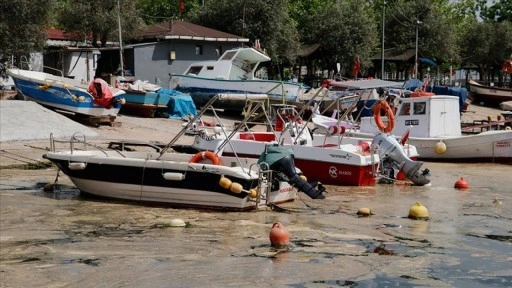İzmit Körfezi'nde oluşan köpüksü tabakanın temizlenmesi için çalışma başlatıldı