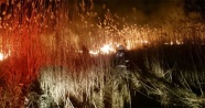 İznik'te sazlık yangını