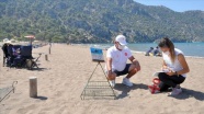 İztuzu Plajı&#039;nda 744 caretta caretta yuvasıyla rekor kırıldı