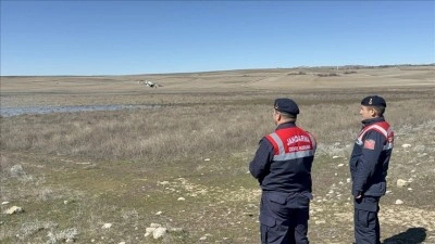 Jandarma flamingolar i&ccedil;in Geling&uuml;ll&uuml; Barajı'nda mesaide