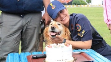 Jandarmanın arama kurtarma köpeği "Bulut" madalyasını alarak emekli oldu