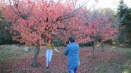 Japon Bahçesi&#039;nde sonbahar güzelliği