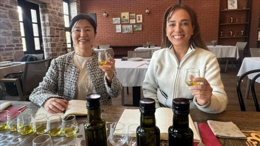 Japon şef Türk zeytinyağlarını harmanlayarak Uzak Doğu'ya tanıtıyor