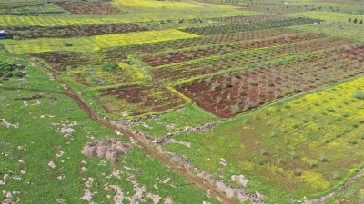Japonlar "Ayanlar"da, &Ccedil;inliler "Yoğunbur&ccedil;" kazısında Neolitik &ccedil;ağın izini s&uuml;rece