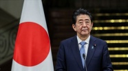 Japonya'da Senato seçimlerini Abe kazandı