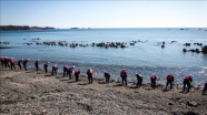 Japonya'daki tsunami 1 milyon deniz canlısını ABD kıyılarına taşıdı
