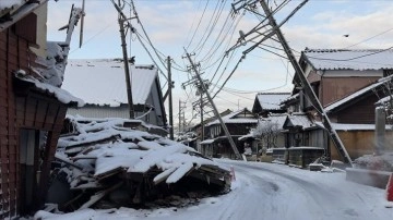 Japonya'daki depremlerde ölenlerin sayısı 238'e çıktı