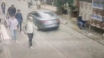 Kadıköy'de pitbull cinsi köpeğin kedi ve çevredekilere saldırması kamerada