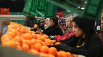 Kadın &ccedil;alışanların toplam ihracattaki payı y&uuml;zde 23,5'e y&uuml;kseldi