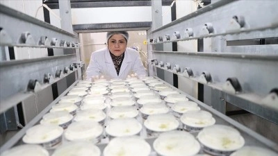 Kadın girişimci devlet desteğiyle dondurmada kendi markasını oluşturdu