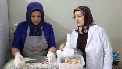 Kadın girişimci yuvalamayı KOSGEB desteğiyle seri &uuml;retime taşıdı