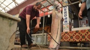 Kahramanmaraş&#039;ta baraj göletinde 130 kilogramlık yayın balığı yakalandı