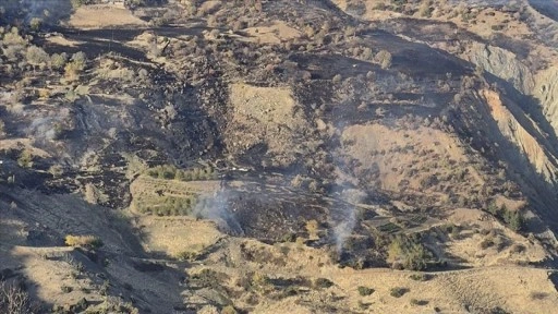 Kahramanmaraş'ta çıkan orman yangını kontrol altına alındı