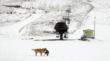 Kahramanmaraş’taki Yedikuyular Kayak Merkezi'ne mevsimin ilk karı yağdı