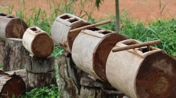 Kamerun'da asırlar boyunca iletişim için kullanılan vurmalı çalgı: Tam-tam, 'orman çalgısı'