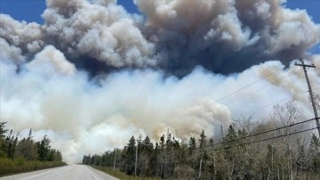 Kanada'da etkisini sürdüren orman yangınlarında 3 milyon hektarlık alan zarar gördü