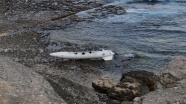 Kandıra sahilinde boru şeklinde cisim bulundu