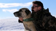 Kangal sevdalısı köpek eğitmeni 21 yılı geride bıraktı