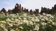 Kapadokya &#039;çiçek açtı&#039;