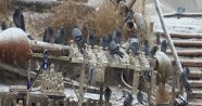 Kapadokya’ya mevsimin ilk karı yağdı