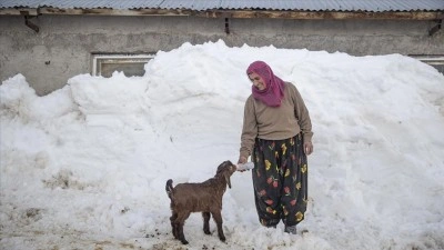 Kar kalınlığının 2,5 metreye ulaştığı Ovacık'ta besiciler zorlu kış şartlarına g&ouml;ğ&uuml;s geriyor