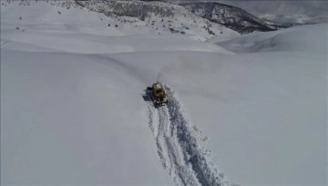 Kar kaplanları ilkbaharda insan boyunu aşan karla mücadele ediyor