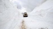 Kar nedeniyle Van, Muş ve Bitlis'te 172 yerleşim biriminin yolu kapandı