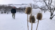 Kar yağışı ile beyaza bürünen Üçkaya Vadisi'nde kartpostallık görüntüler