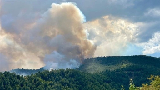 Karabük'te ormanlık alanda yeniden yangın çıktı