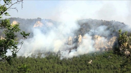 Karabük ve Antalya'daki orman yangınlarına müdahale ediliyor