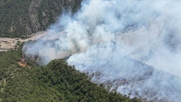 Karabük'te çıkan orman yangınına müdahale ediliyor