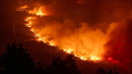 Karadağ ve Sırbistan'ın orman yangınlarıyla mücadelesi sürüyor