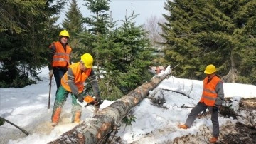 Karadeniz'de orman köylüleri zorlu kış şartlarında çalışıyor