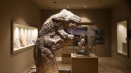 Karahantepe'deki buluntular Şanlıurfa Arkeoloji Müzesi'ne ilgiyi artırdı