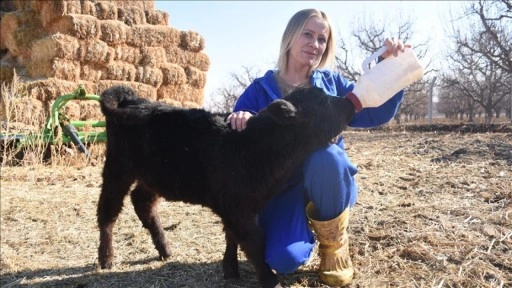 Karaman'da yaşayan gen&ccedil; kadın devlet desteğiyle hayvancılığa başladı
