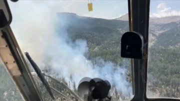 Karaman'da orman yangınına müdahale ediliyor