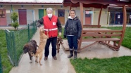 Karamürsel'de atık yemekler Türk Kızılay aracılığıyla sokak hayvanlarına ulaştırılıyor